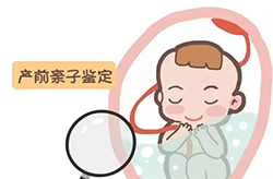 辽阳怀孕41天需要如何做无创怀孕亲子鉴定，辽阳做无创孕期亲子鉴定怎么收费