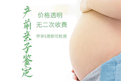 辽阳怀孕6周怎么做亲子鉴定？辽阳怀孕做亲子鉴定流程？